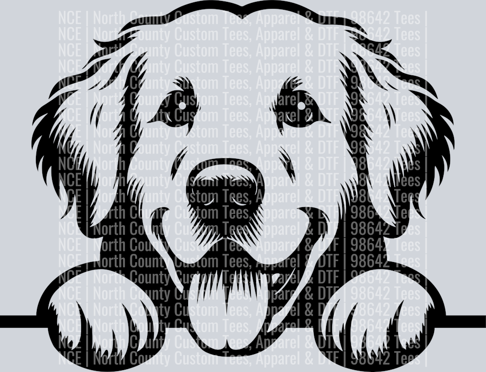 Golden Retriever Peeking 1229232