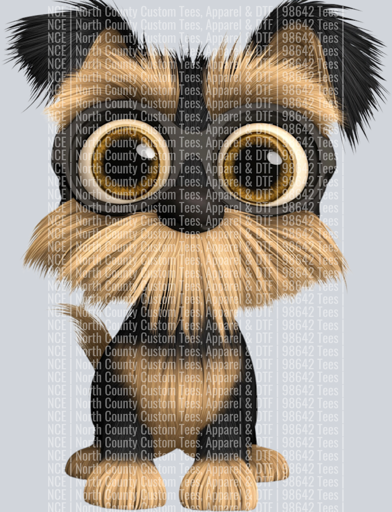Yorkshire Terrier (5)