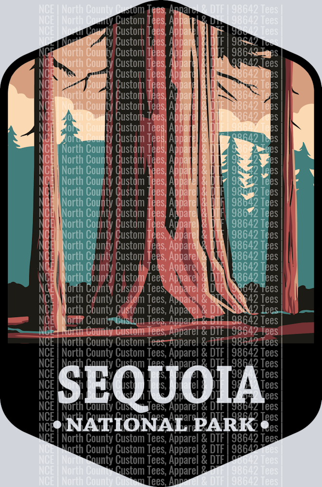 Sequoia