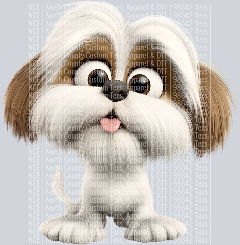Shi Tzu (2)