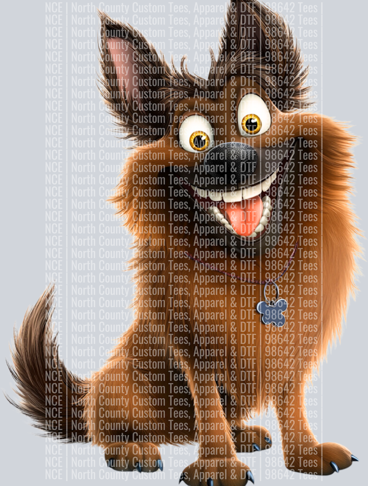 Belgian Shepherd (2)