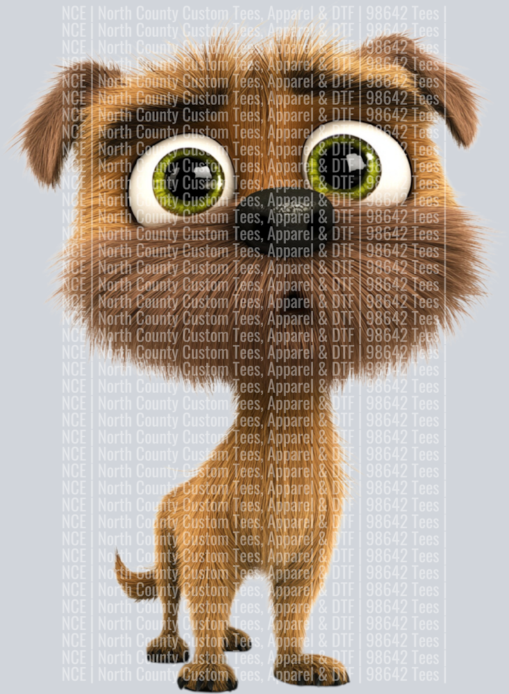 Border Terrier