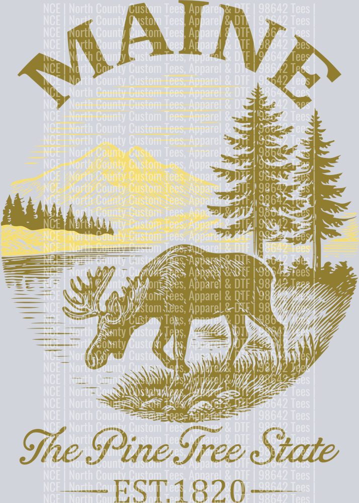 Maine The Pine Tree State