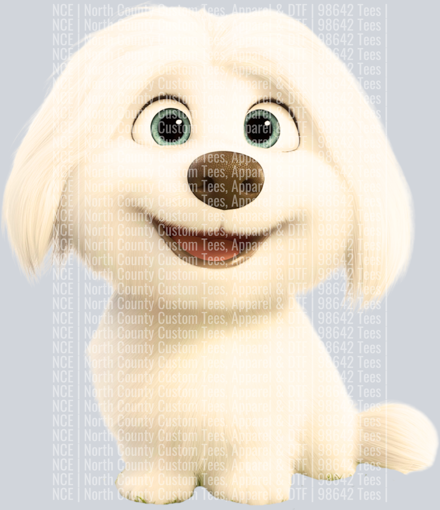 Coton de Tulear
