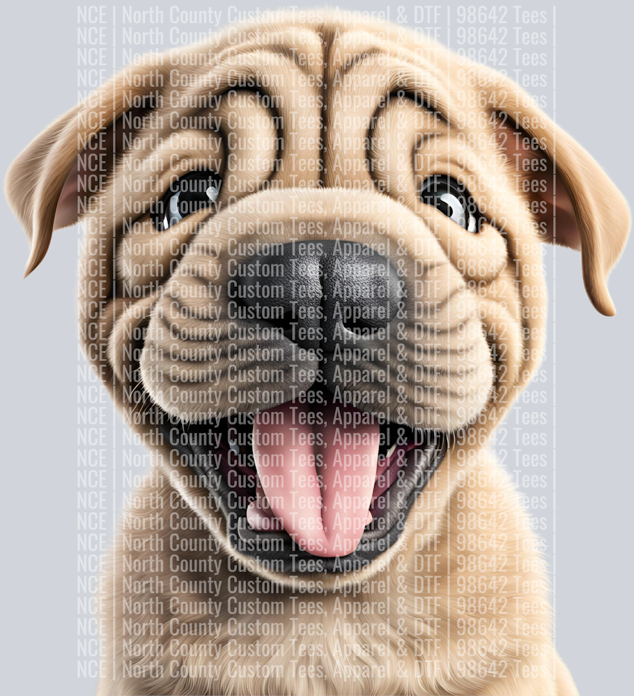 Sharpei (3)