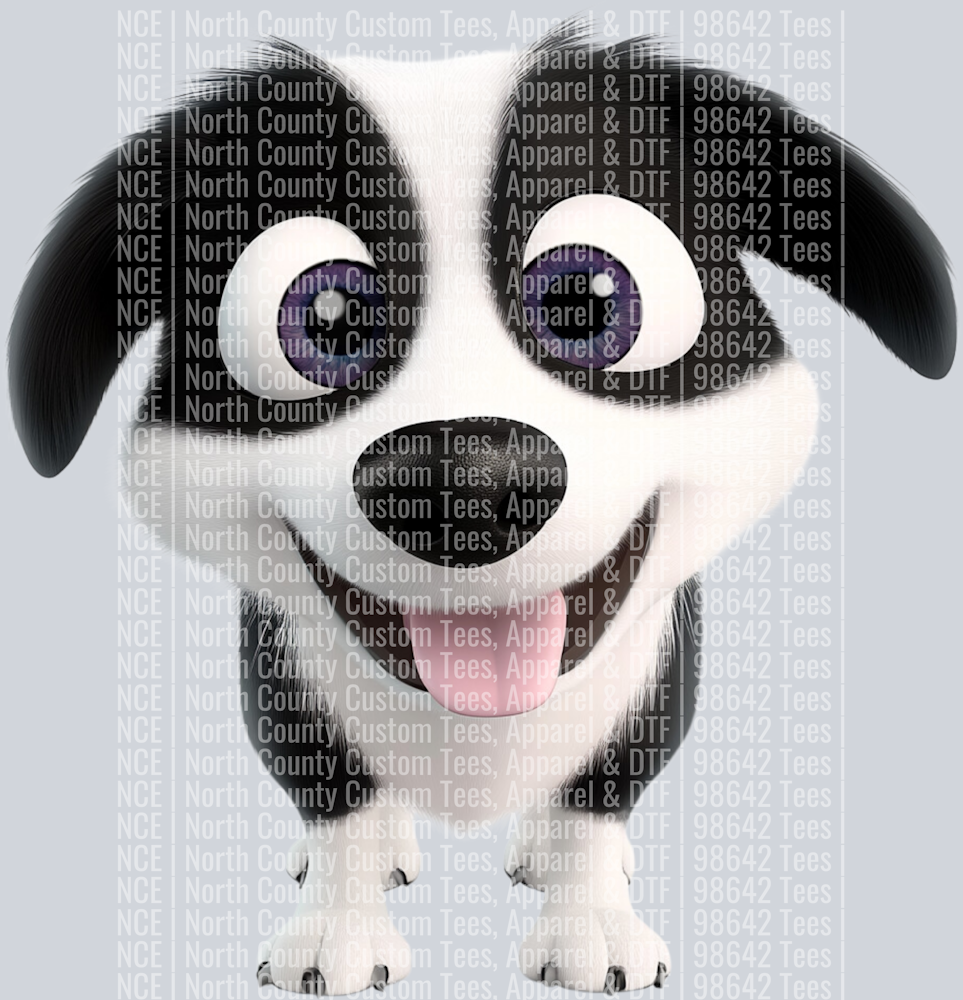 Border Collie (3)