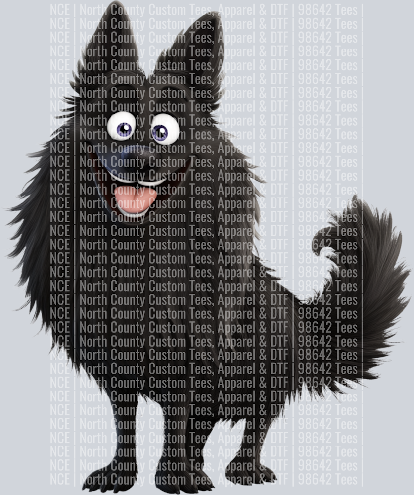 Belgium Sheepdog (3)