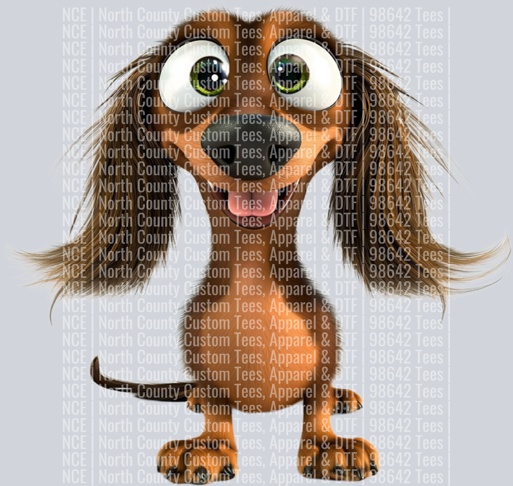 Long Hair Dachshund (2)