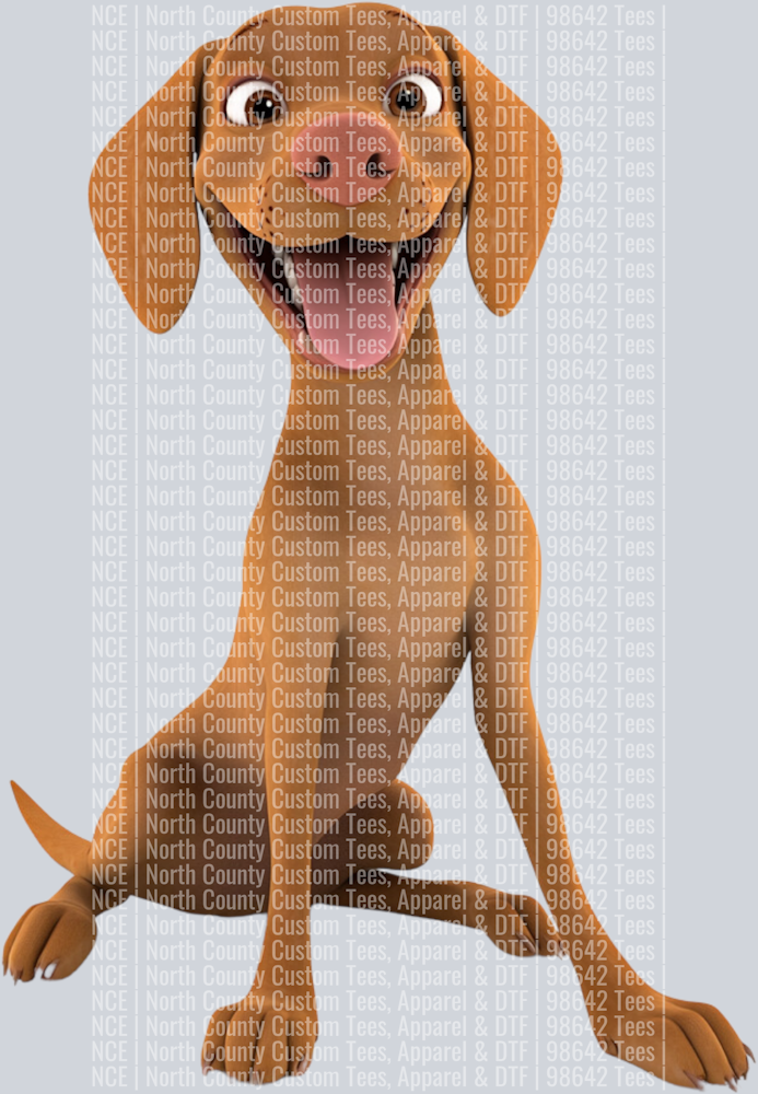 Vizsla (3)