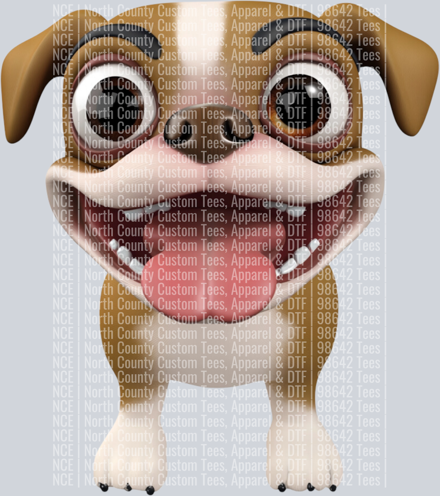 Boxer (2)