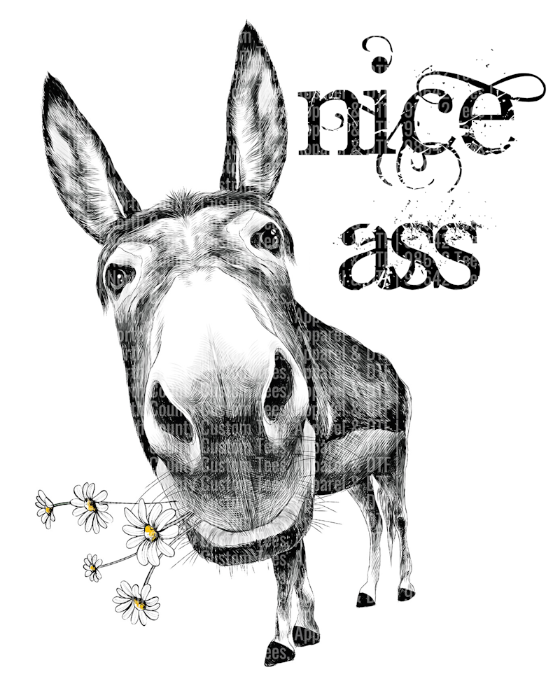 Nice Ass 2