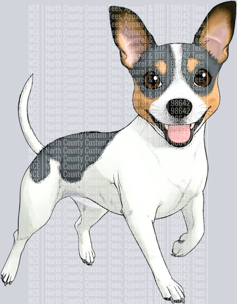 Teddy Roosevelt Terrier (2)