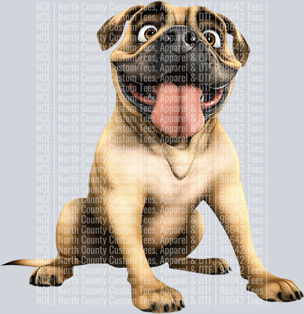 Bull Mastiff (2)
