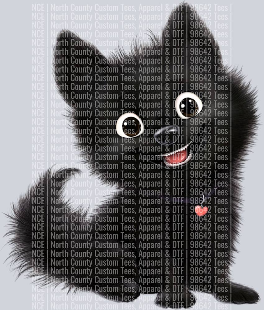 Schipperke (2)