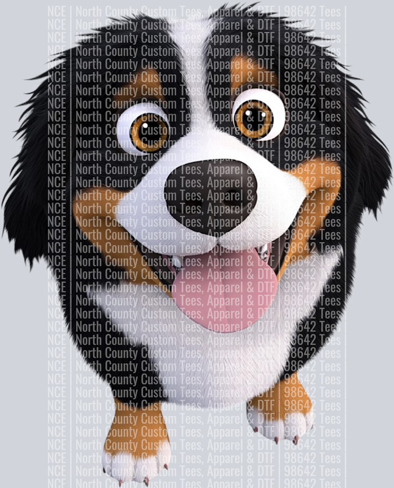 Bernese Mountain Dog (3)