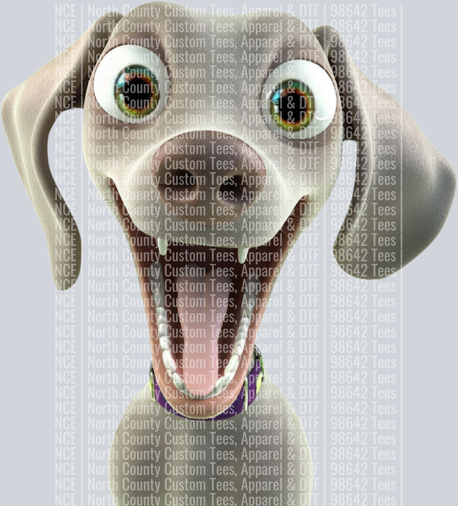 Weimaraner