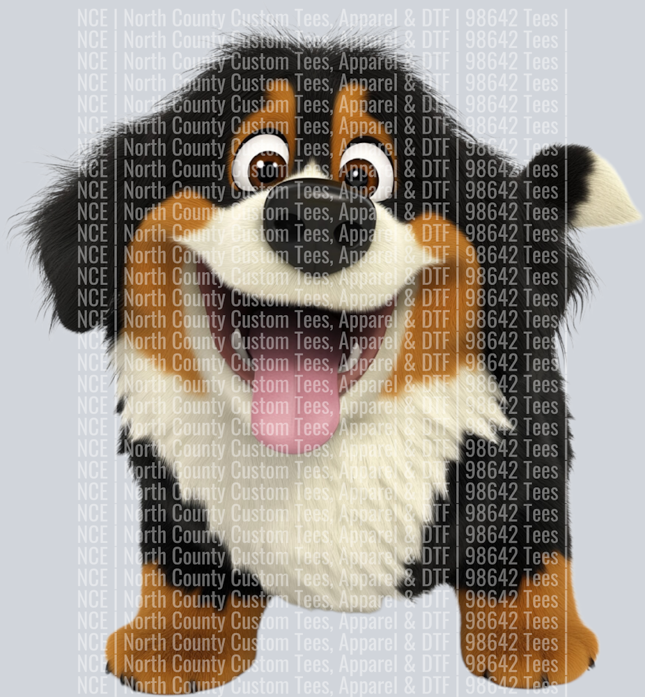 Bernese Mountain Dog