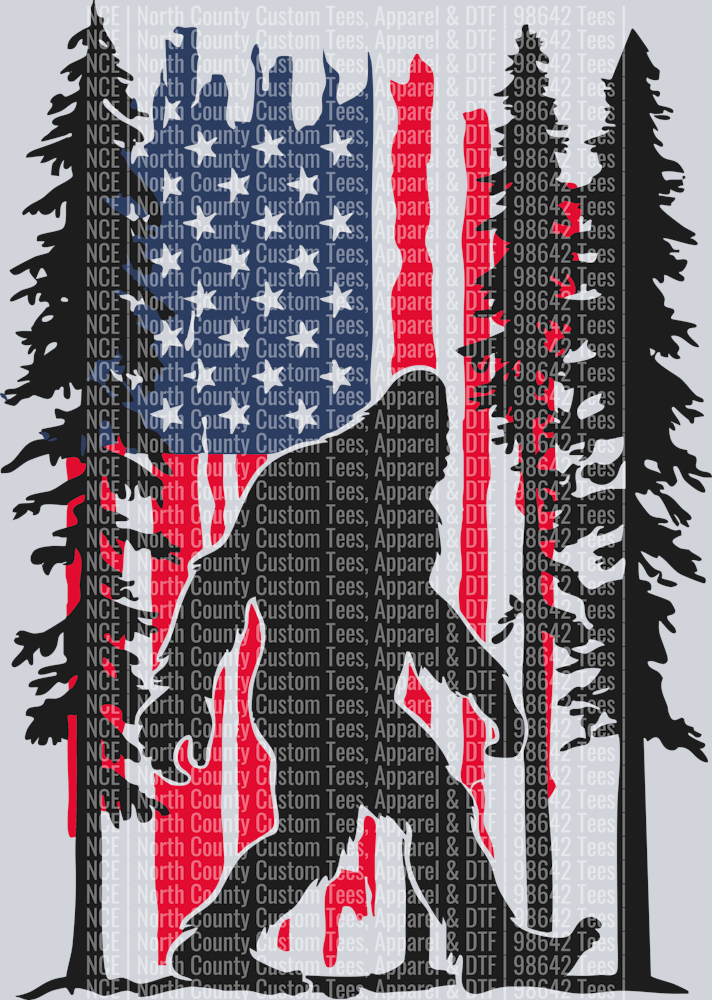 USAFLAGBIGFOOT