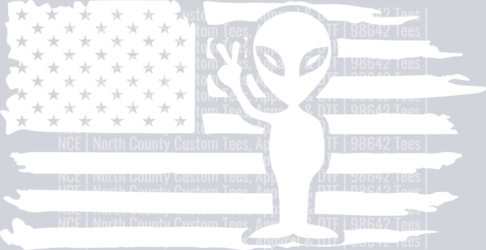 American Distressed Flag Alien