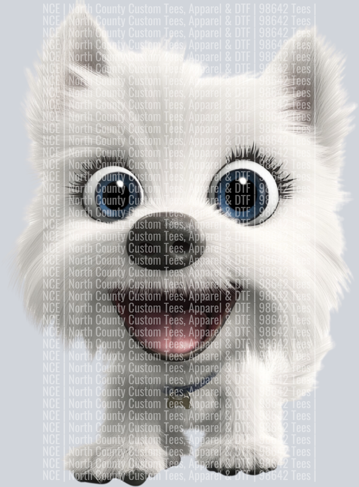 West Highland Terrier1