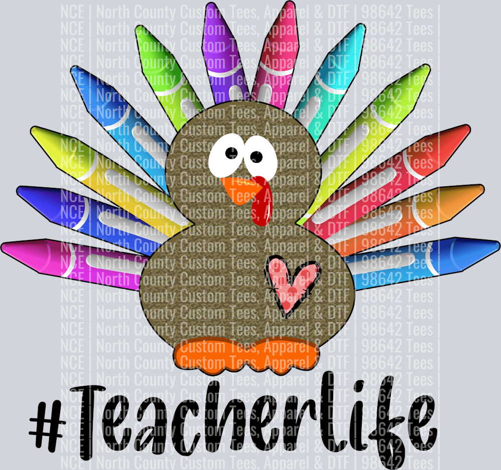 Teacher Life (24)
