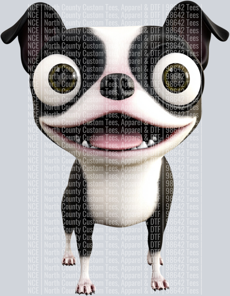 Boston Terrier (3)