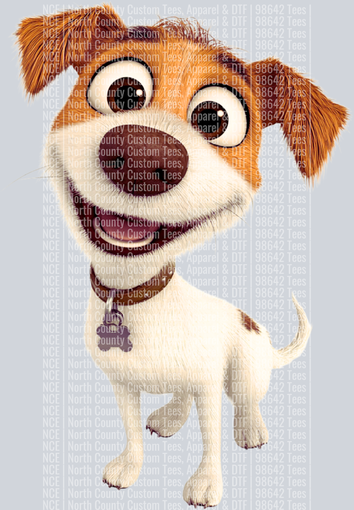 Jack Russell Terrier