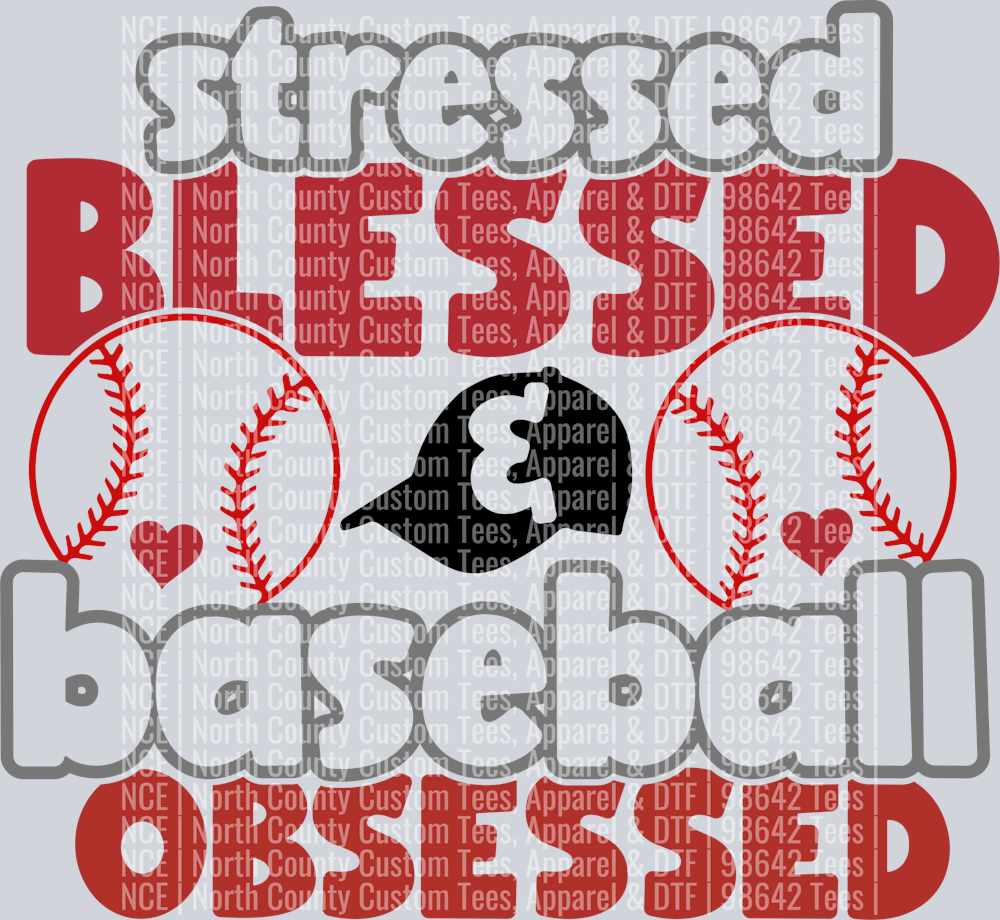 Baseball Blessed-100