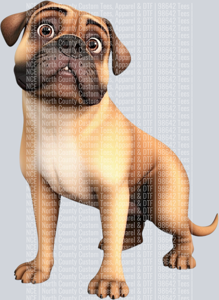 Bull Mastiff (3)