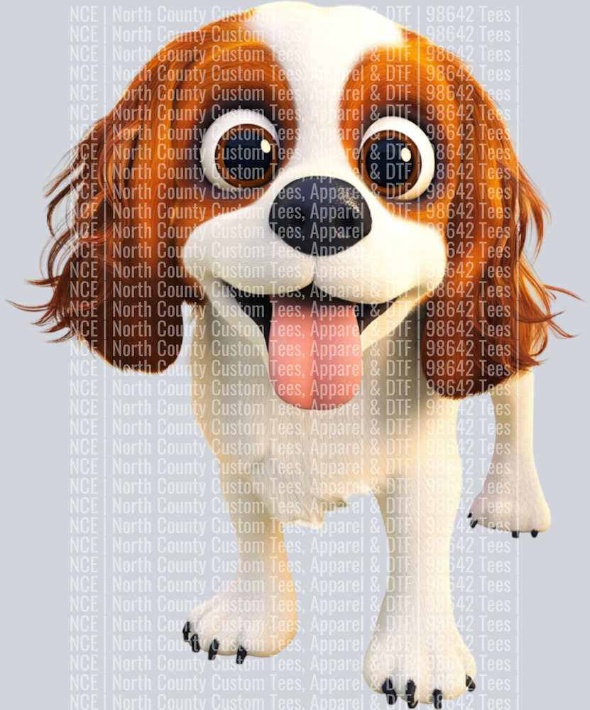 Cavalier King Charles Spaniel (4)