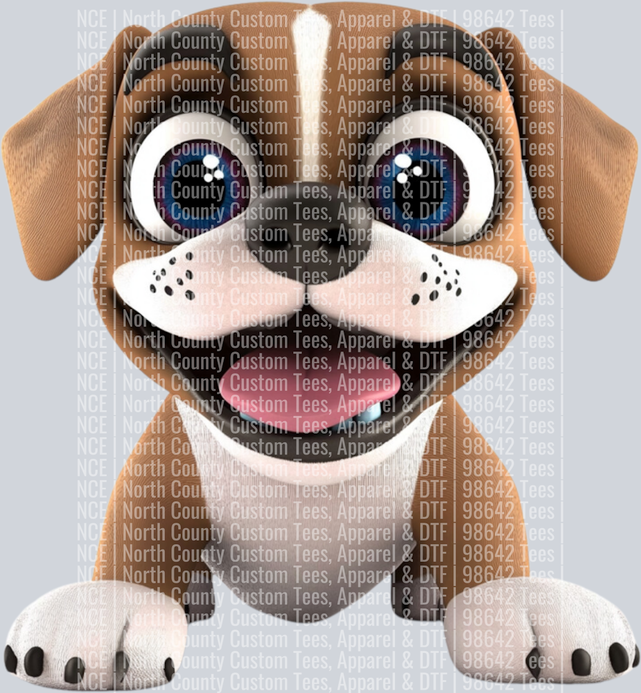Boxer