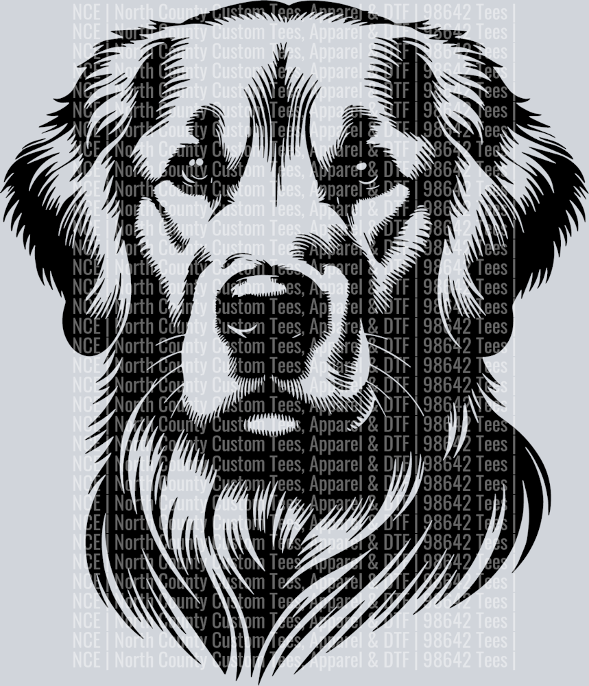 Golden Retriever Face 1