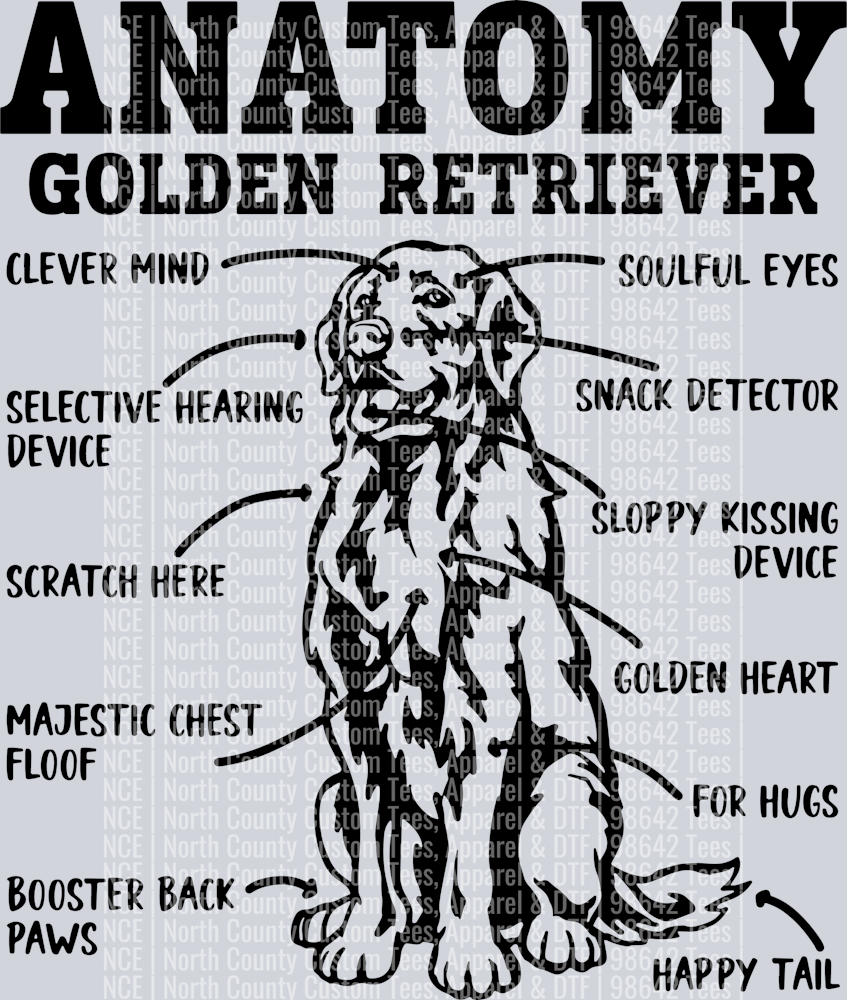 GOLDEN RETRIEVER 9