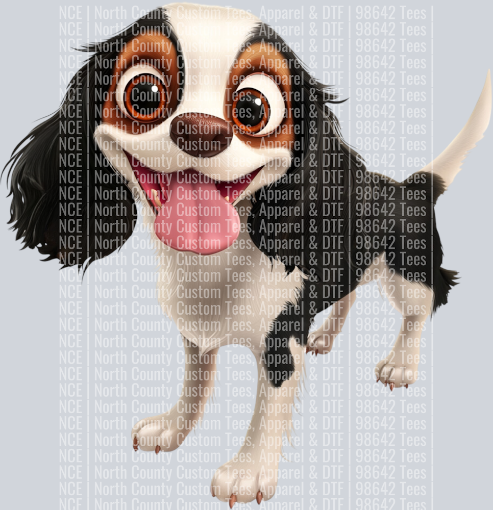 Cavalier King Charles Spaniel