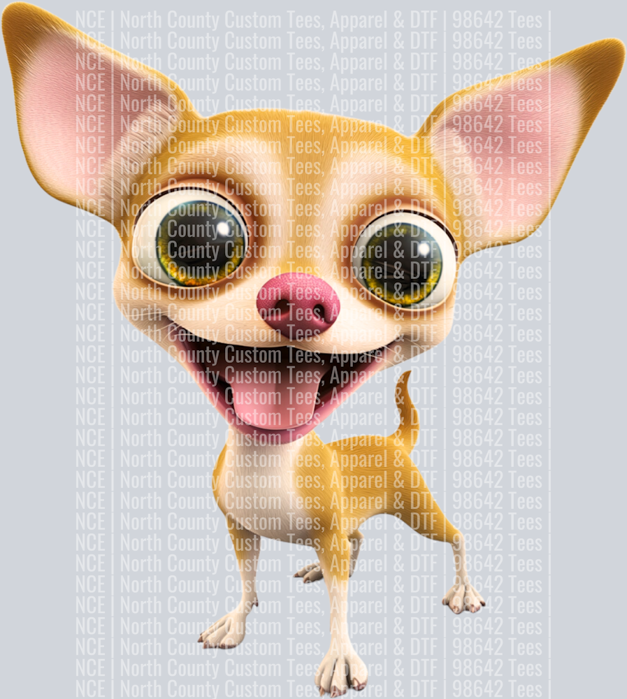 Chihuahua (3)