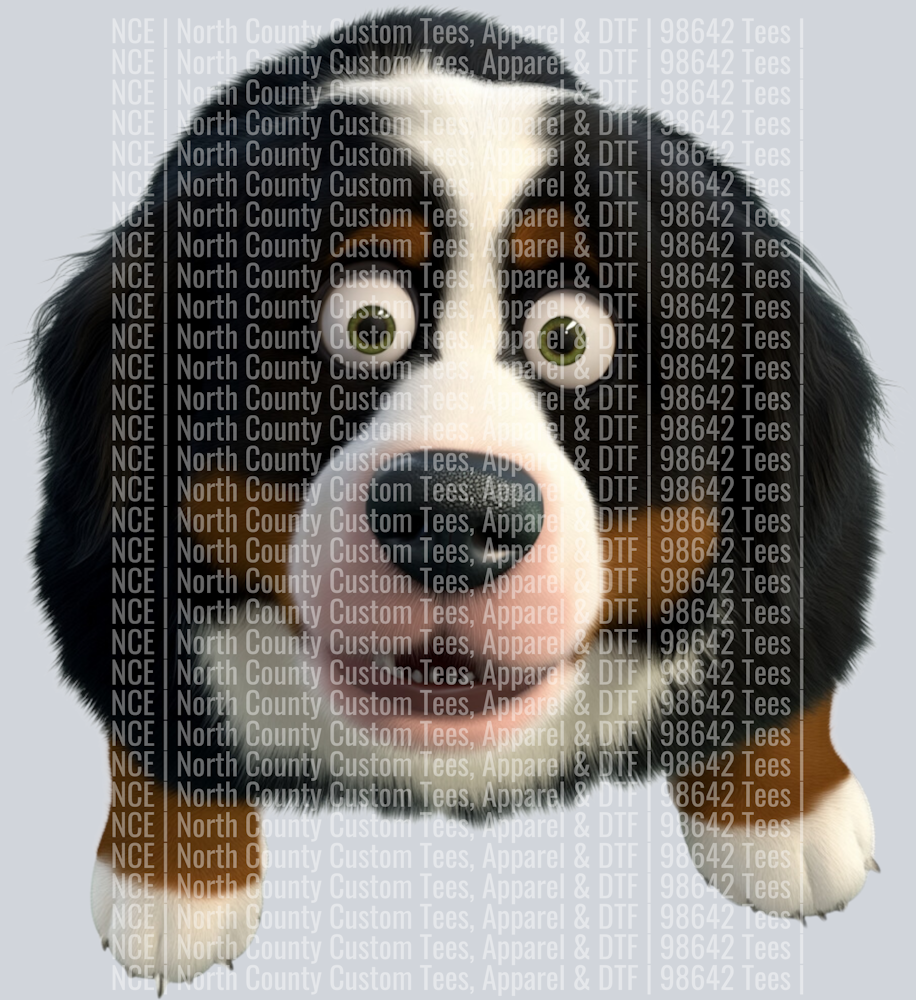 Bernese Mountain Dog (2)