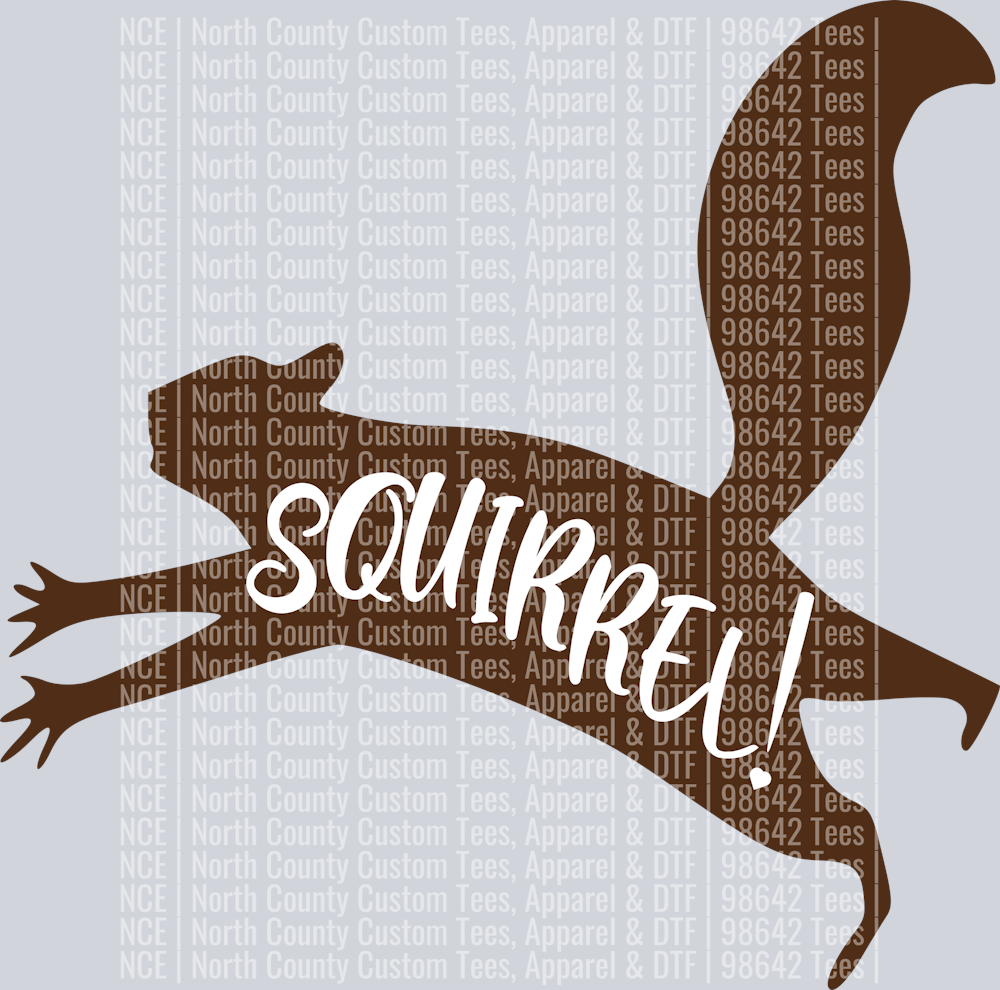 squirrel2