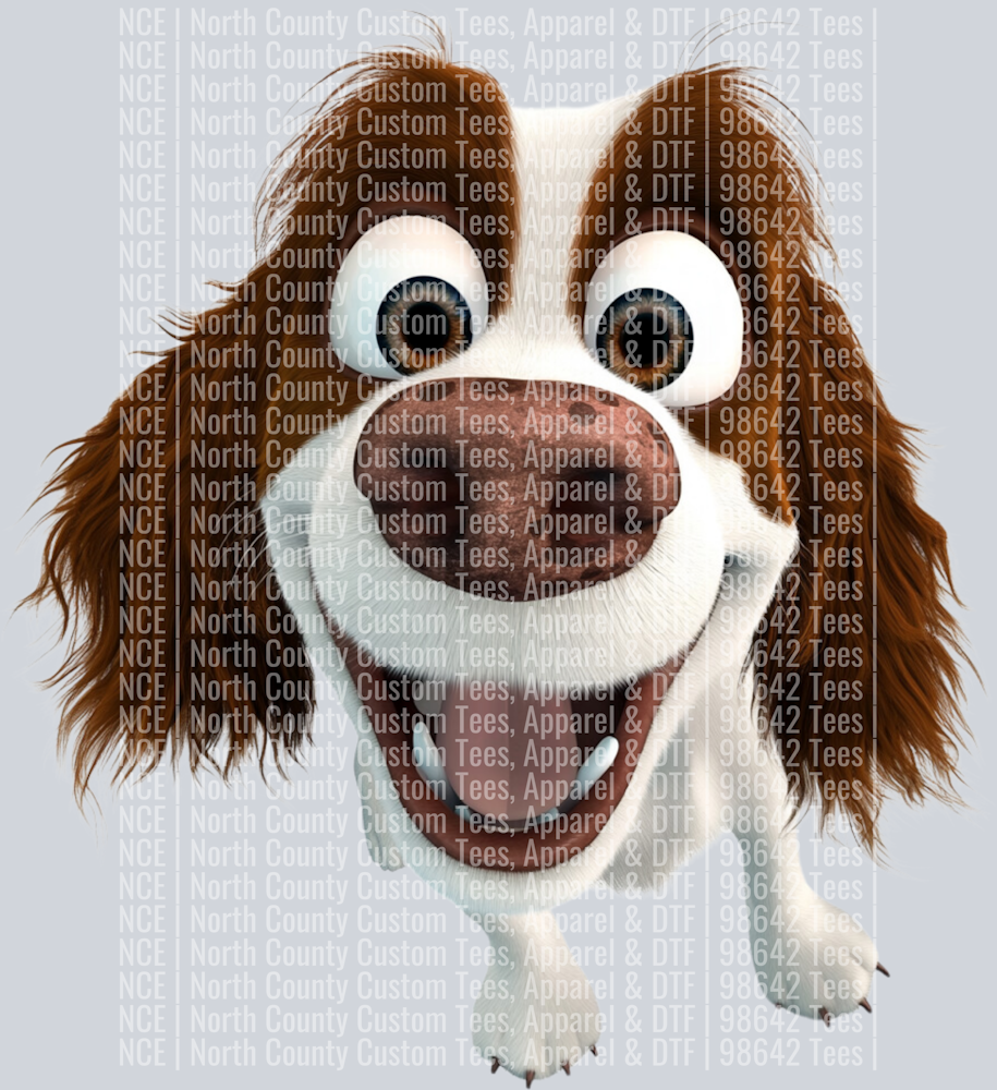 Springer Spaniel (2)