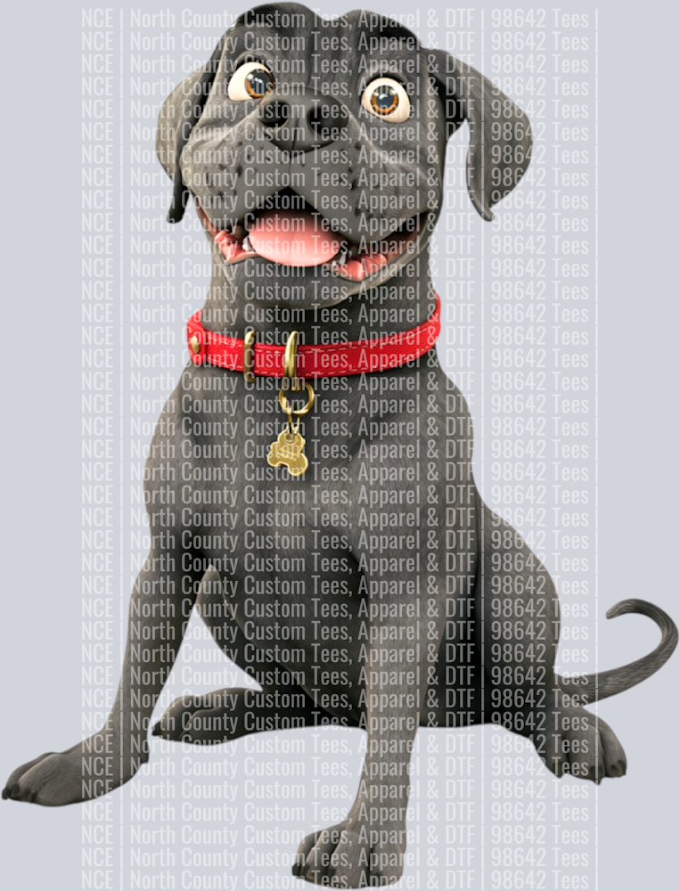 Cane Corso (2)