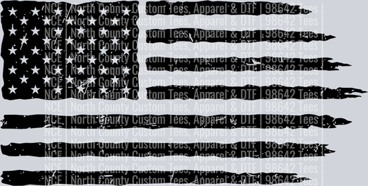 USA Flag 2