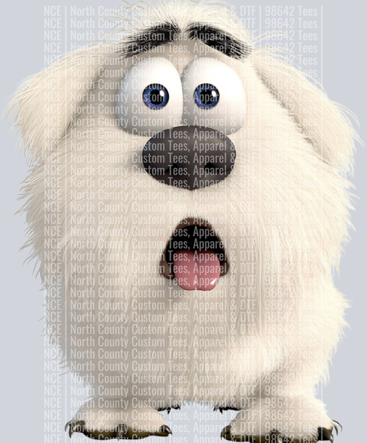 Mixed Breed3