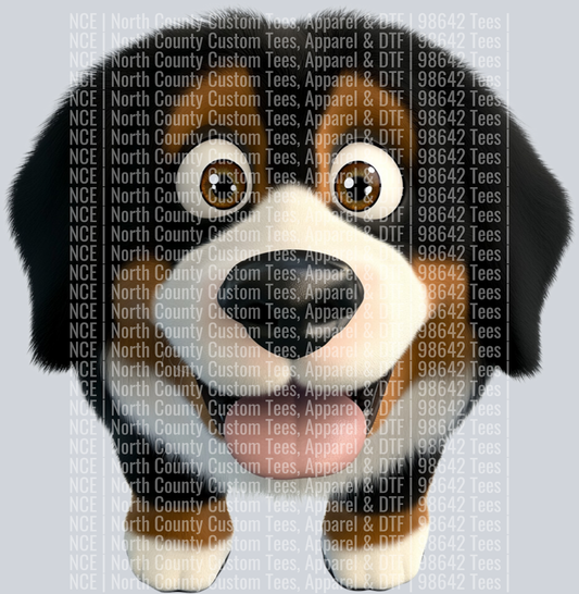 Bernese Mountain Dog (4)