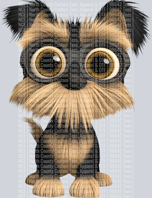 Yorkshire Terrier (5)