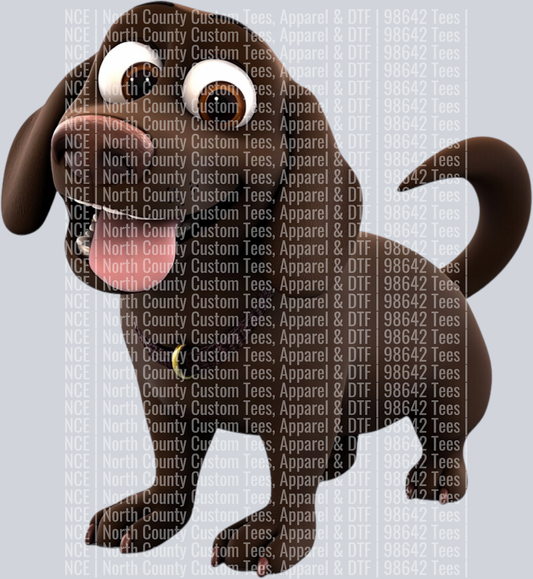 Chocolate Labrador Retriever (3)
