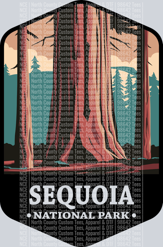 Sequoia