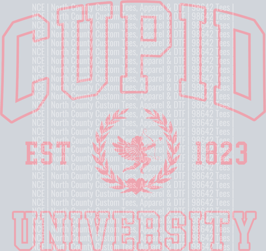 CUPID-UNIVERSITY-PINK