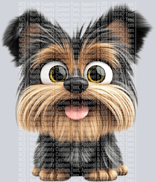Yorkshire Terrier4