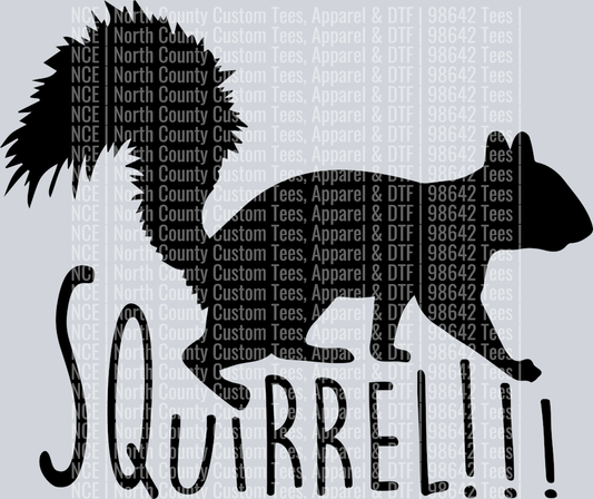 squirrel