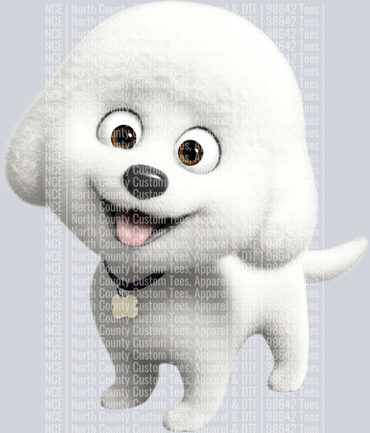Bichon Frise╠ü (4)