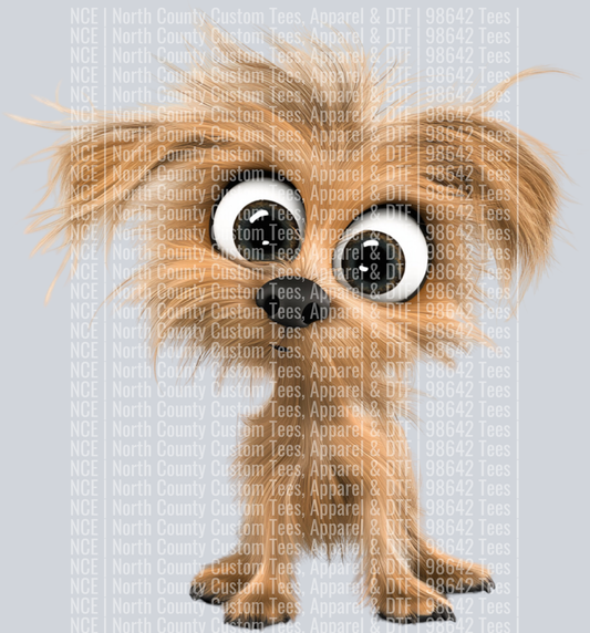 Mixed Breed2